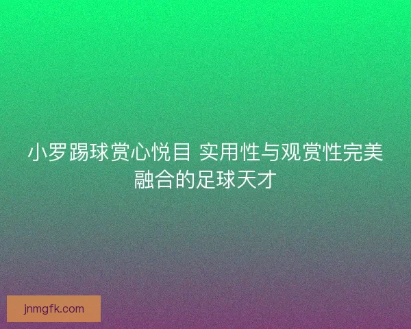 小罗踢球赏心悦目 实用性与观赏性完美融合的足球天才