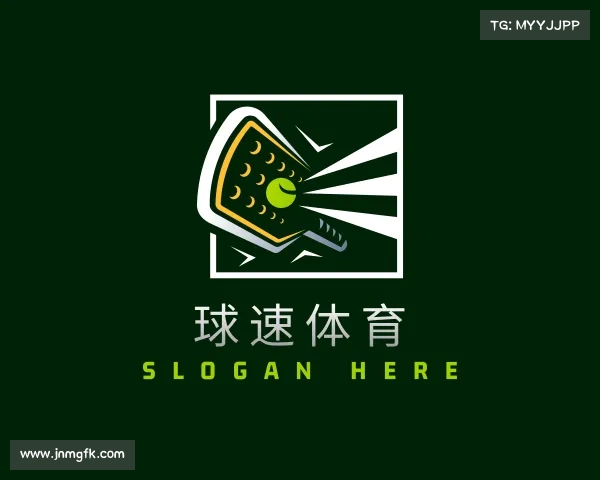 关于球速体育